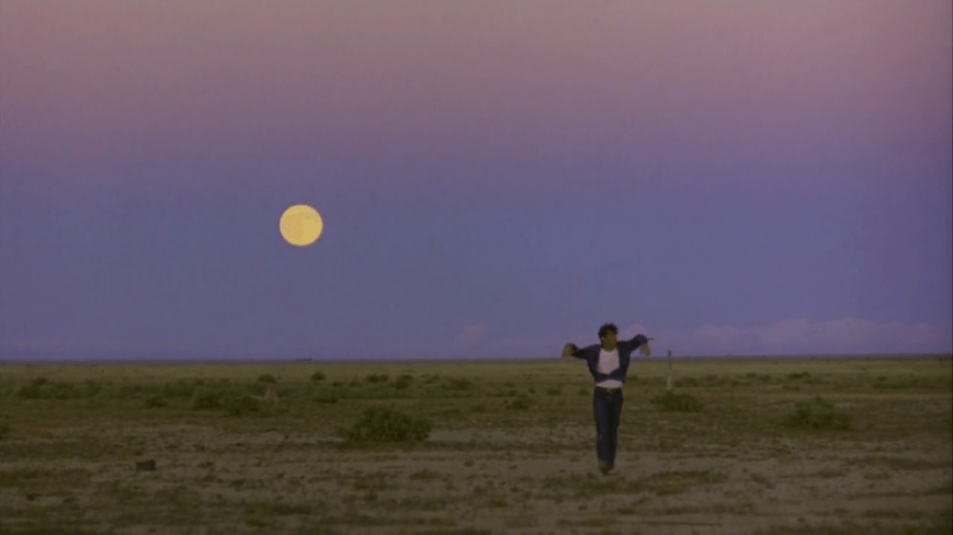Badlands - Terrence Malick